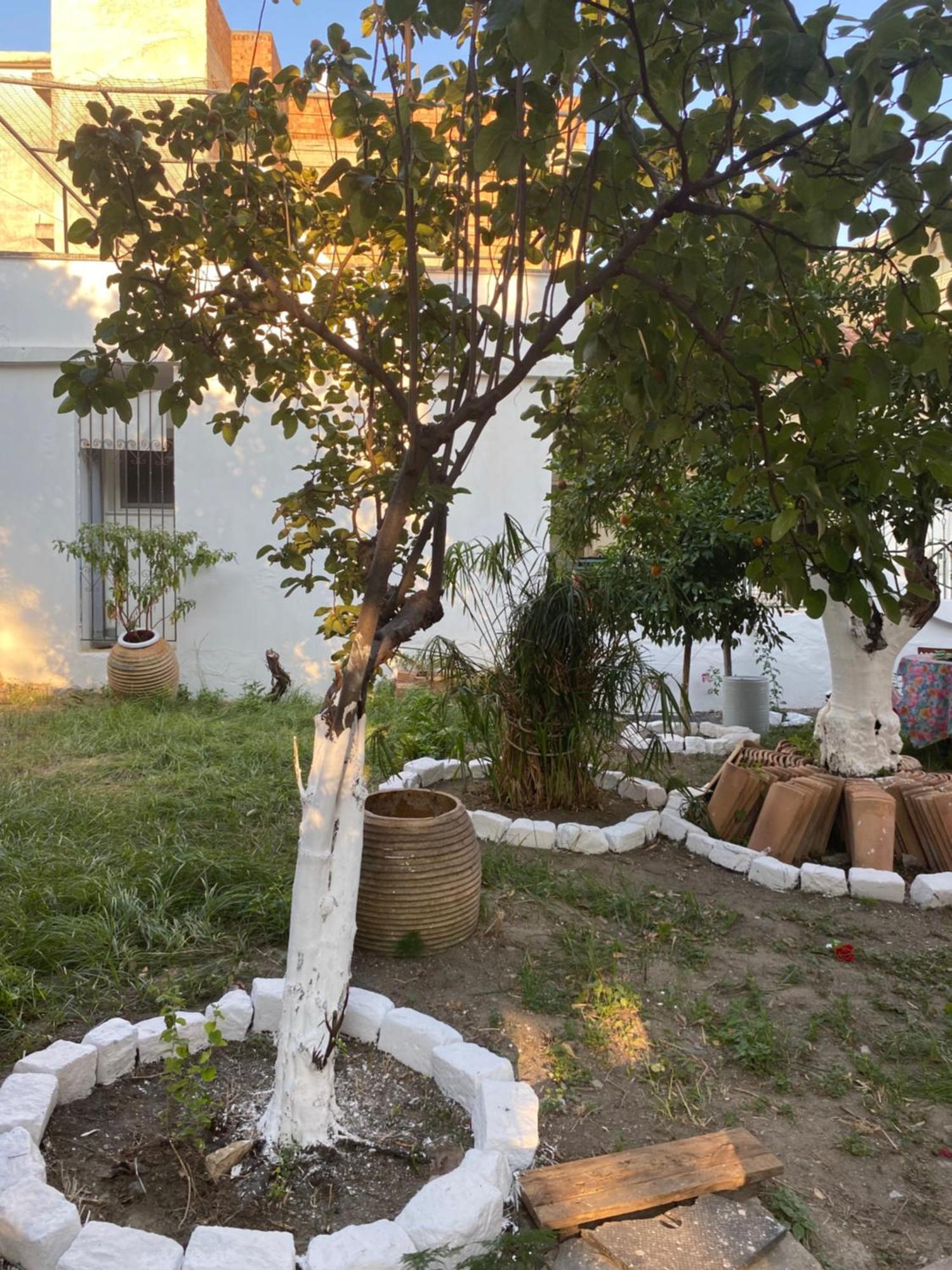 Best Located Ruby Luxury Escape Kalamata Exterior photo